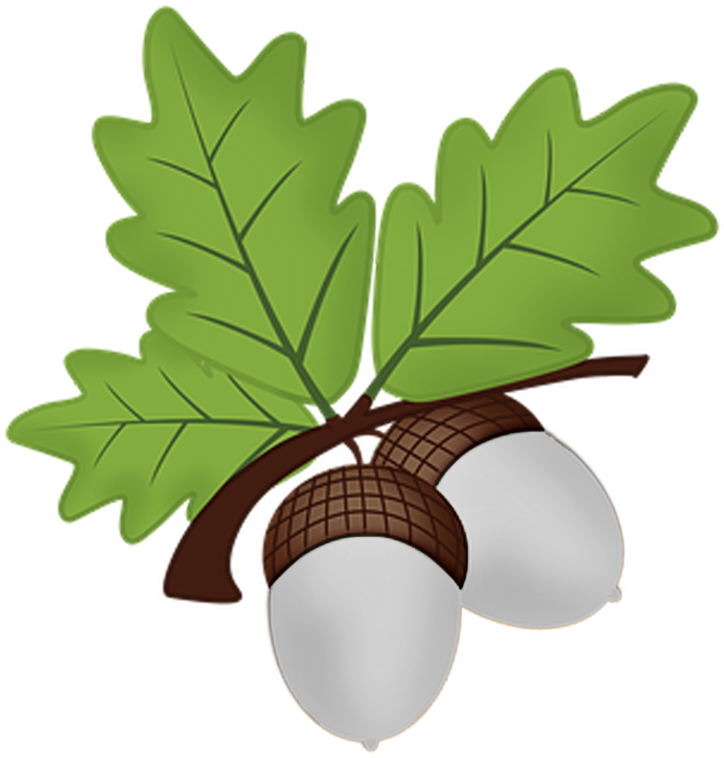 Silver Acorns - Oak Clipart (1181x1181)