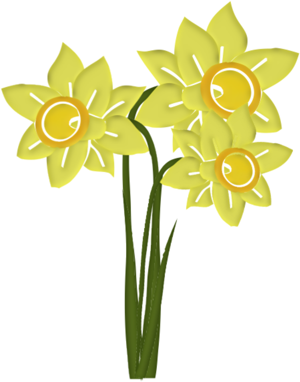 Scrap - Narcissus (800x800)