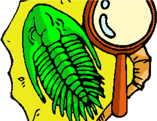 Fossil Clip Art (640x480)