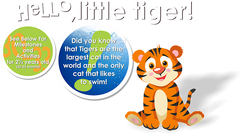 Tiger - Cartoon (800x440)