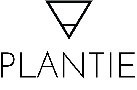 Triangle (507x329)