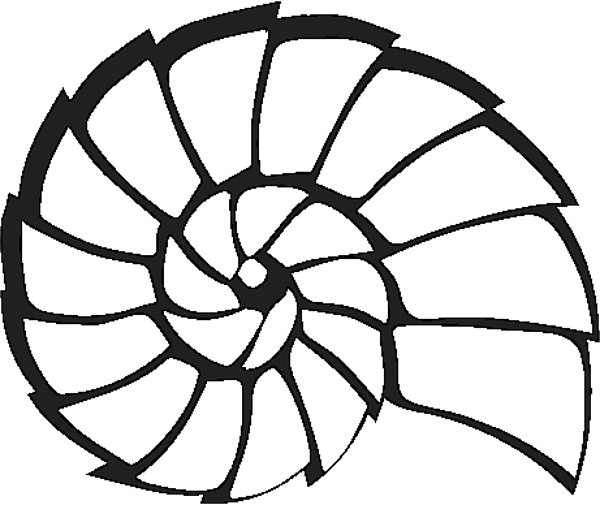 Circle (600x505)