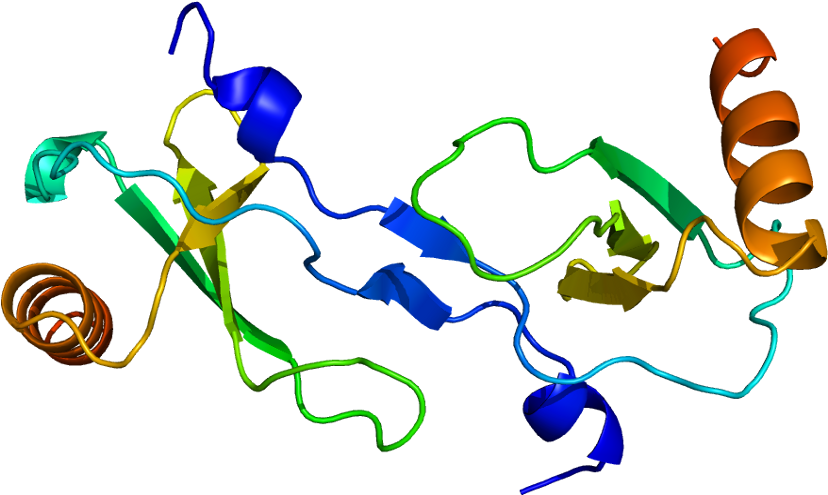 Ccl Wikipedia - Mcp 1 Protein (877x544)