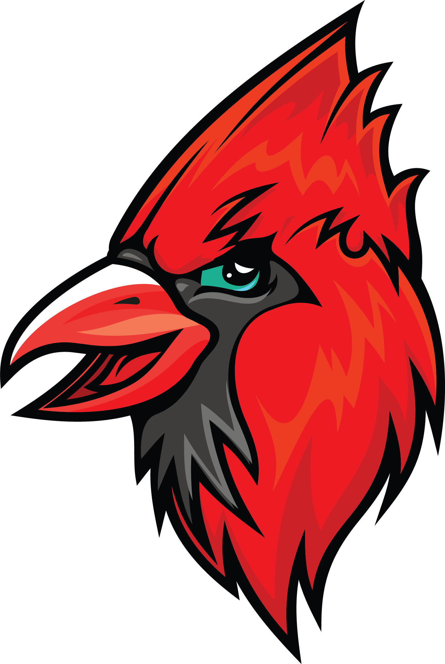 Mathis Elementary - Northern Cardinal (1520x2265)