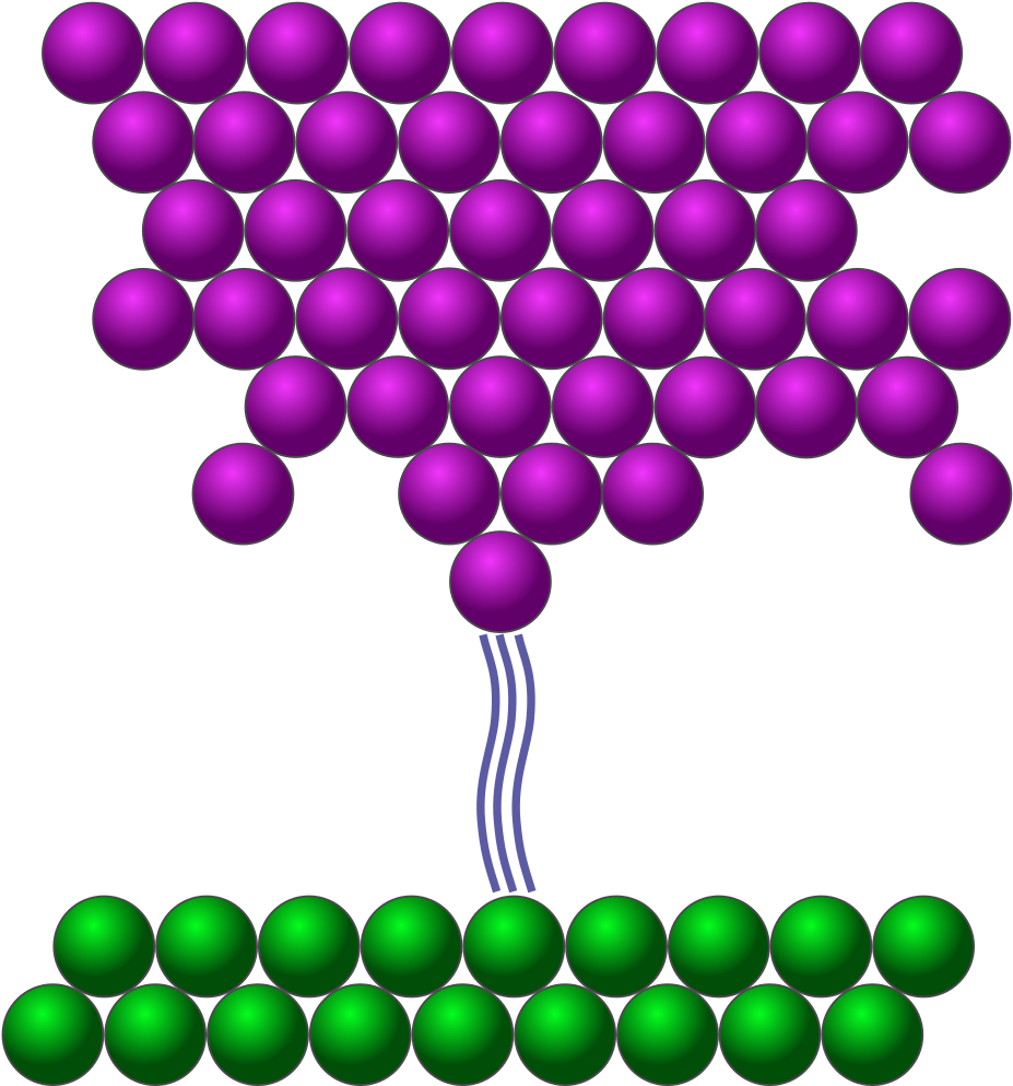 Scanning Tunneling Microscope - Scanning Tunneling Microscope (970x1024)