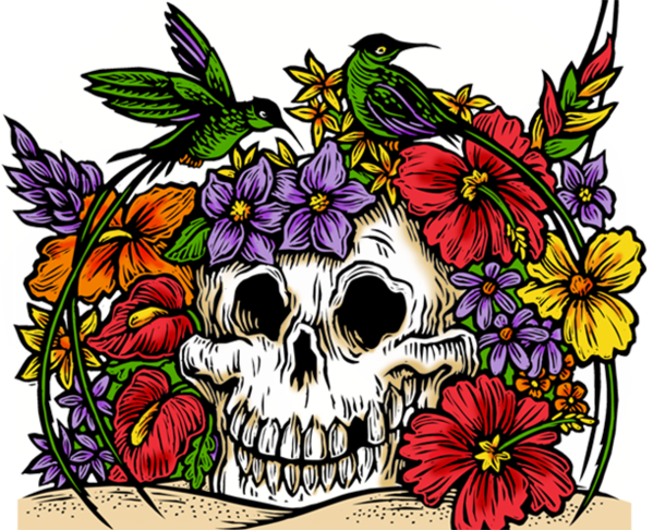 Skull (599x486)