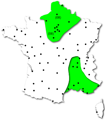 Mugwort - Mugwort (400x408)
