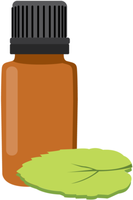 1 - - Plastic Bottle (359x480)