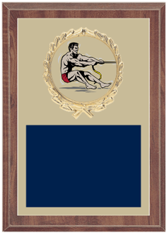 Medal (510x510)