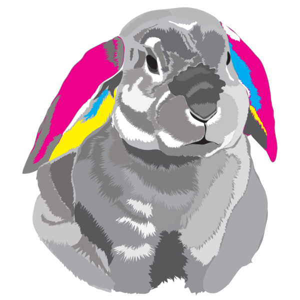 Rabbit (600x600)