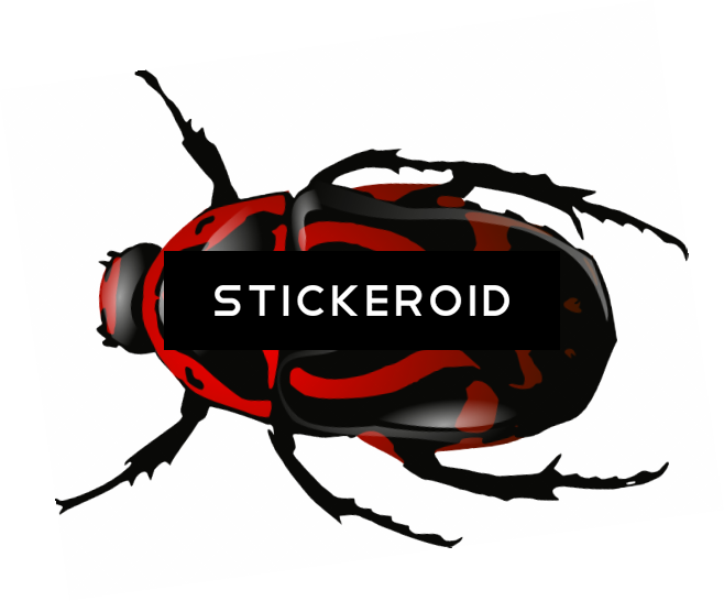Roach Bug Bugs Insects - Beetle Clip Art (658x546)
