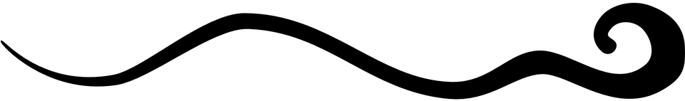 Squiggly Line Png - Vector Graphics (960x480)
