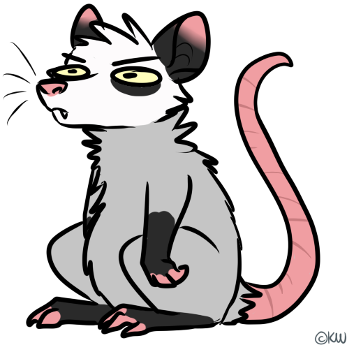 I Made Passum Stickers Https - Cartoon (512x512)