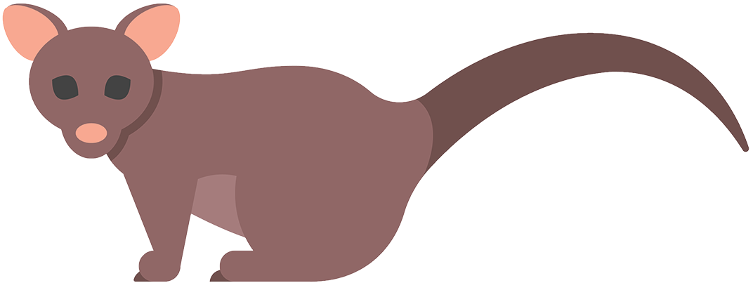 Opossum - Vector Graphics (1200x1200)