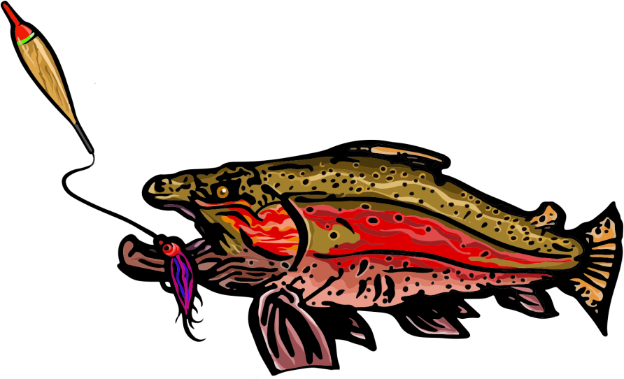 Drop Back Guide Service On The Salmon River Pulaski - Drop Back Guide Service On The Salmon River Pulaski (900x560)