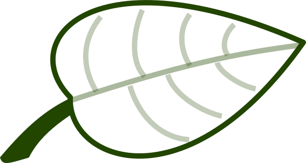 Circle (600x319)