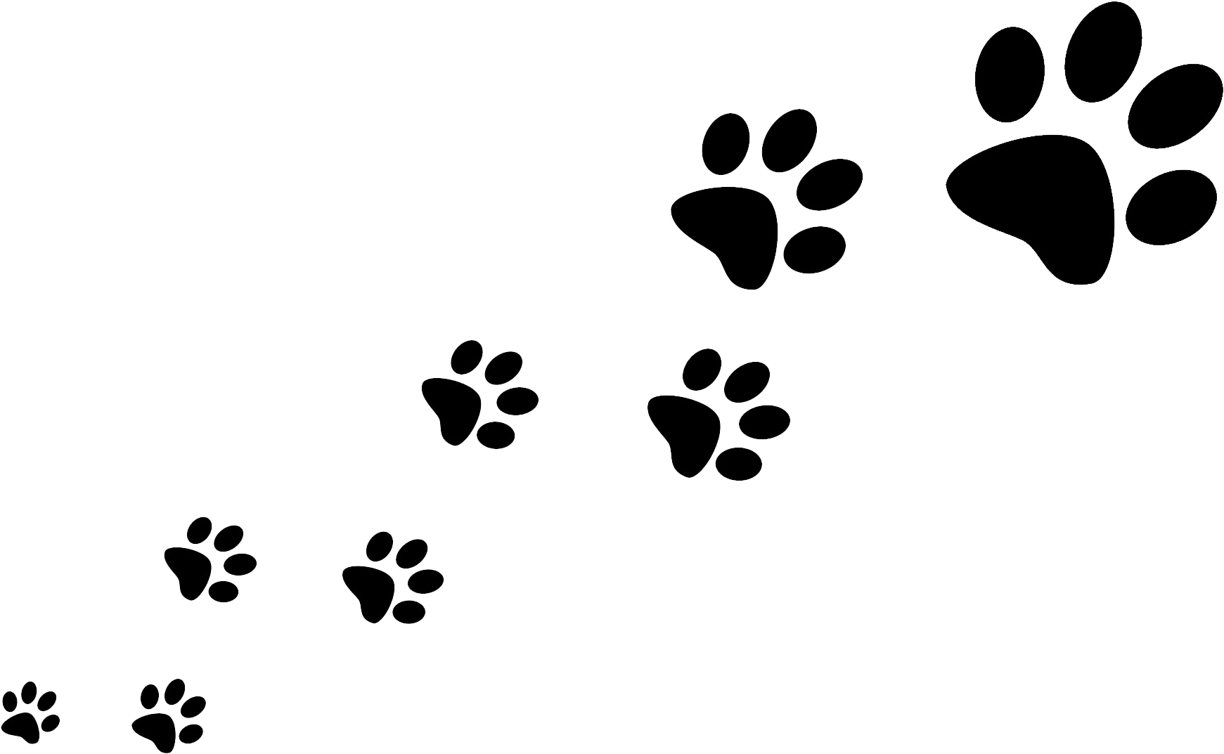 Paw Prints Transparent Background (1920x1270)