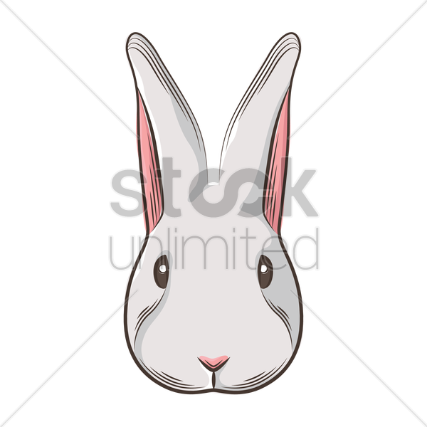 Rabbit Face Vector Graphic - Illustration (600x600)