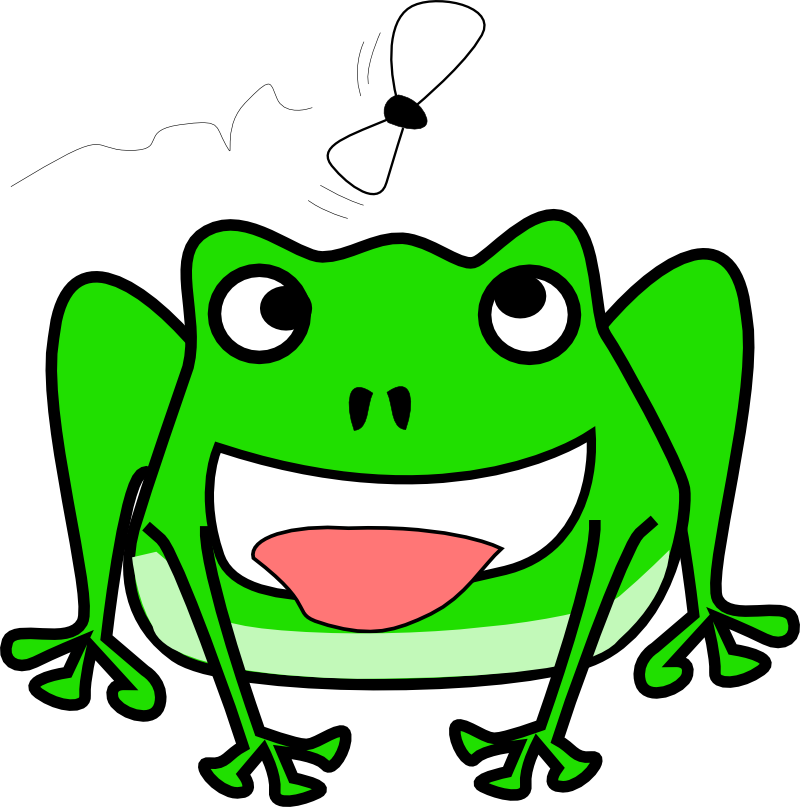 Wood Frog (800x807)