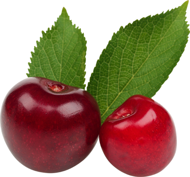 Fruit Images - Fruit (390x364)
