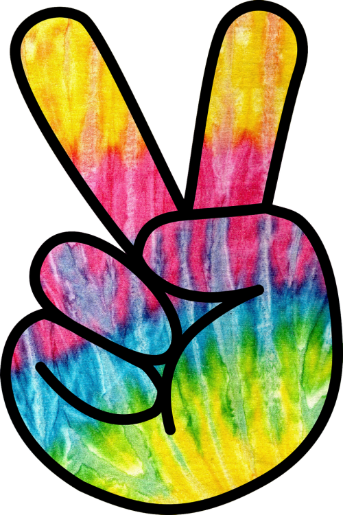 Hippie Png (500x750)