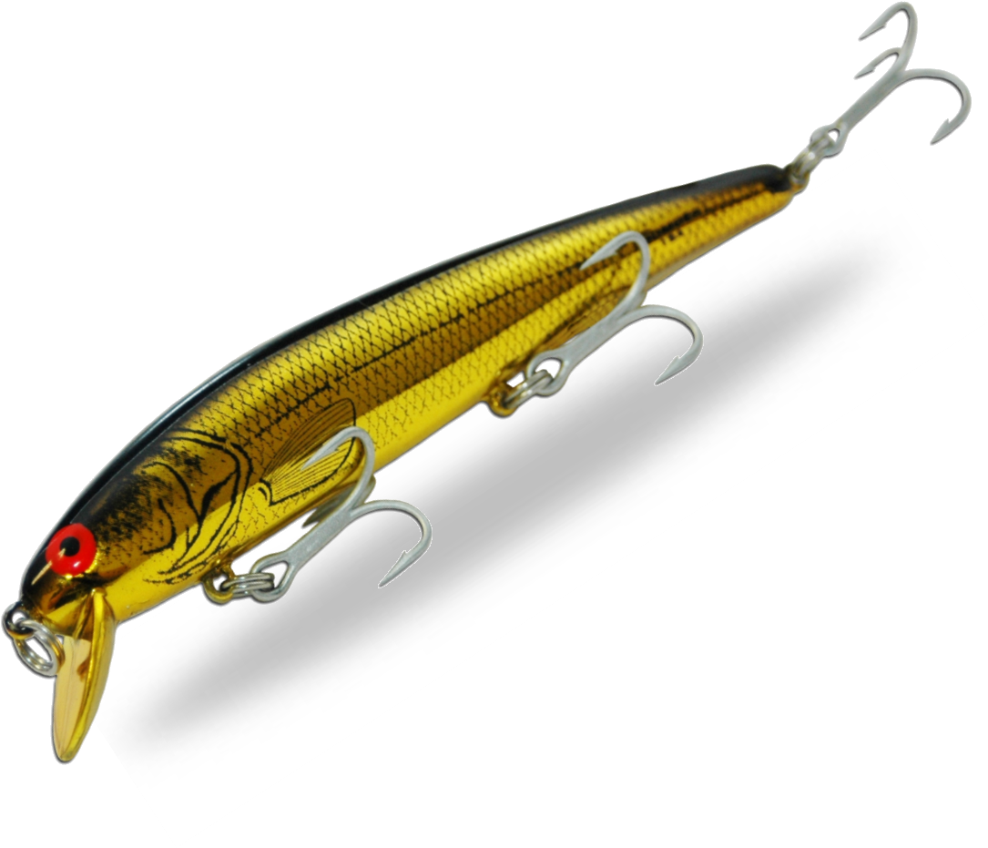 15a - Hd - Barramudi Lure (1318x951)