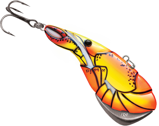 Buy Now - Kamooki Smartfish (529x419)