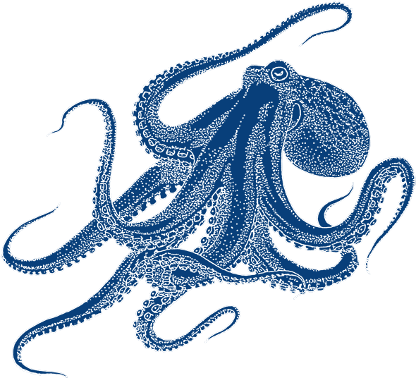 Octopus Drawing (600x546)