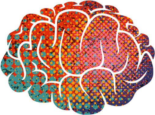Transparent Background Brain Clipart (512x512)
