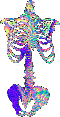 Png Punk (500x500)
