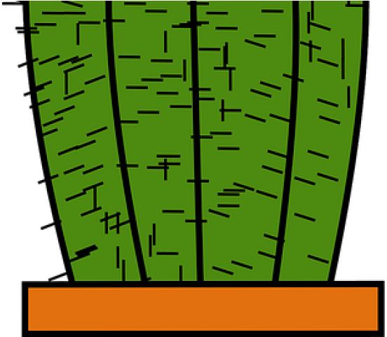 Cactus In A Pot Cartoon (640x480)