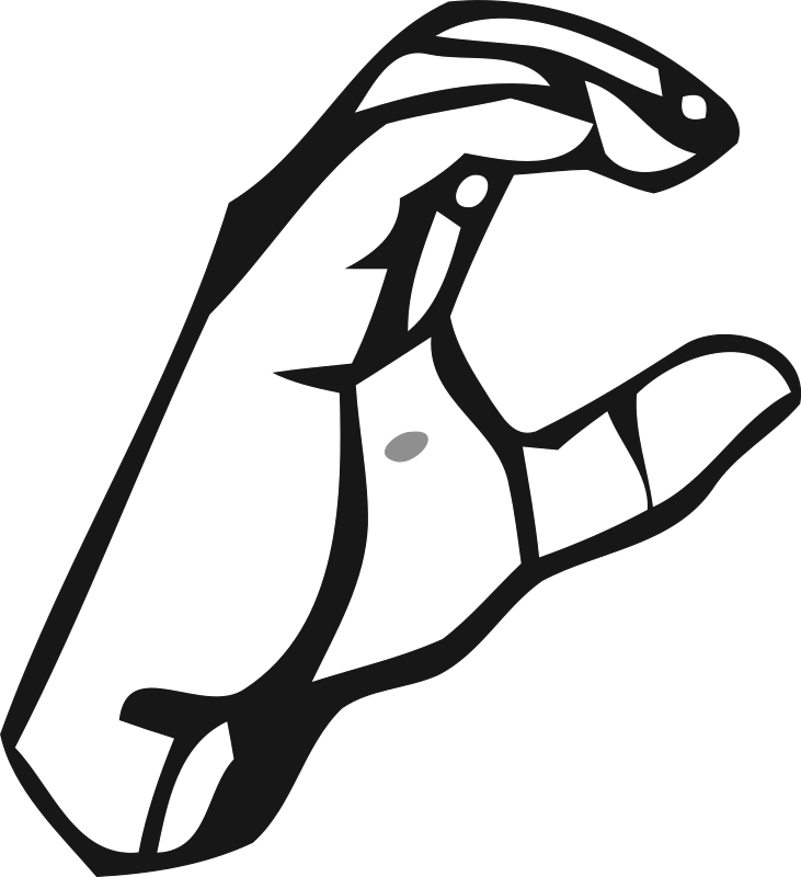Medium Image - Langue Des Signes C (731x800)