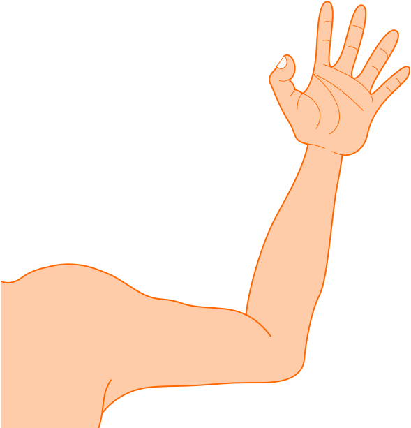 Arm - Clip Art (800x640)