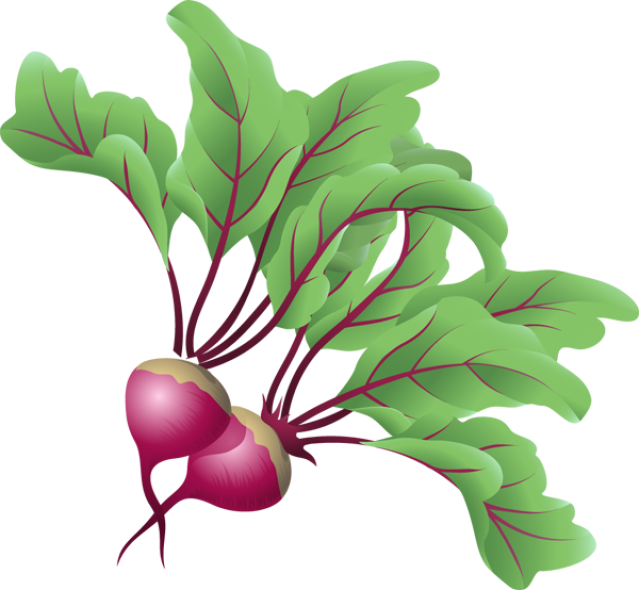 Vegetables - Beets Vegetable Clip Art (639x590)