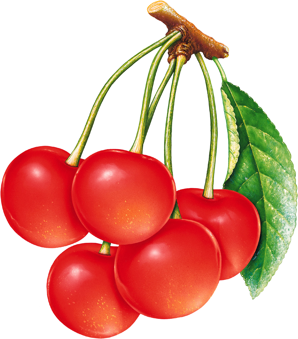 Mis Laminas Para Decoupage - Red Cherry (1064x1144)