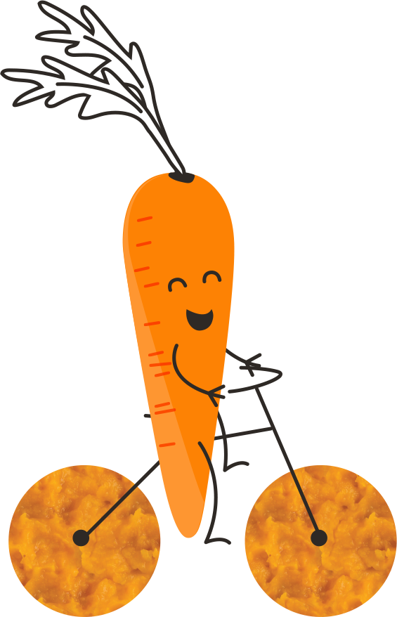 Carrot - Character (565x878)