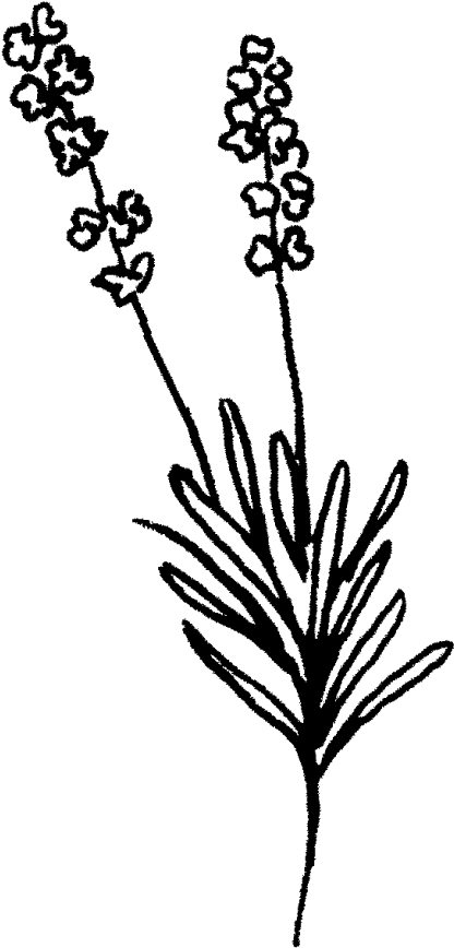 Rubber Stamping (1000x1000)