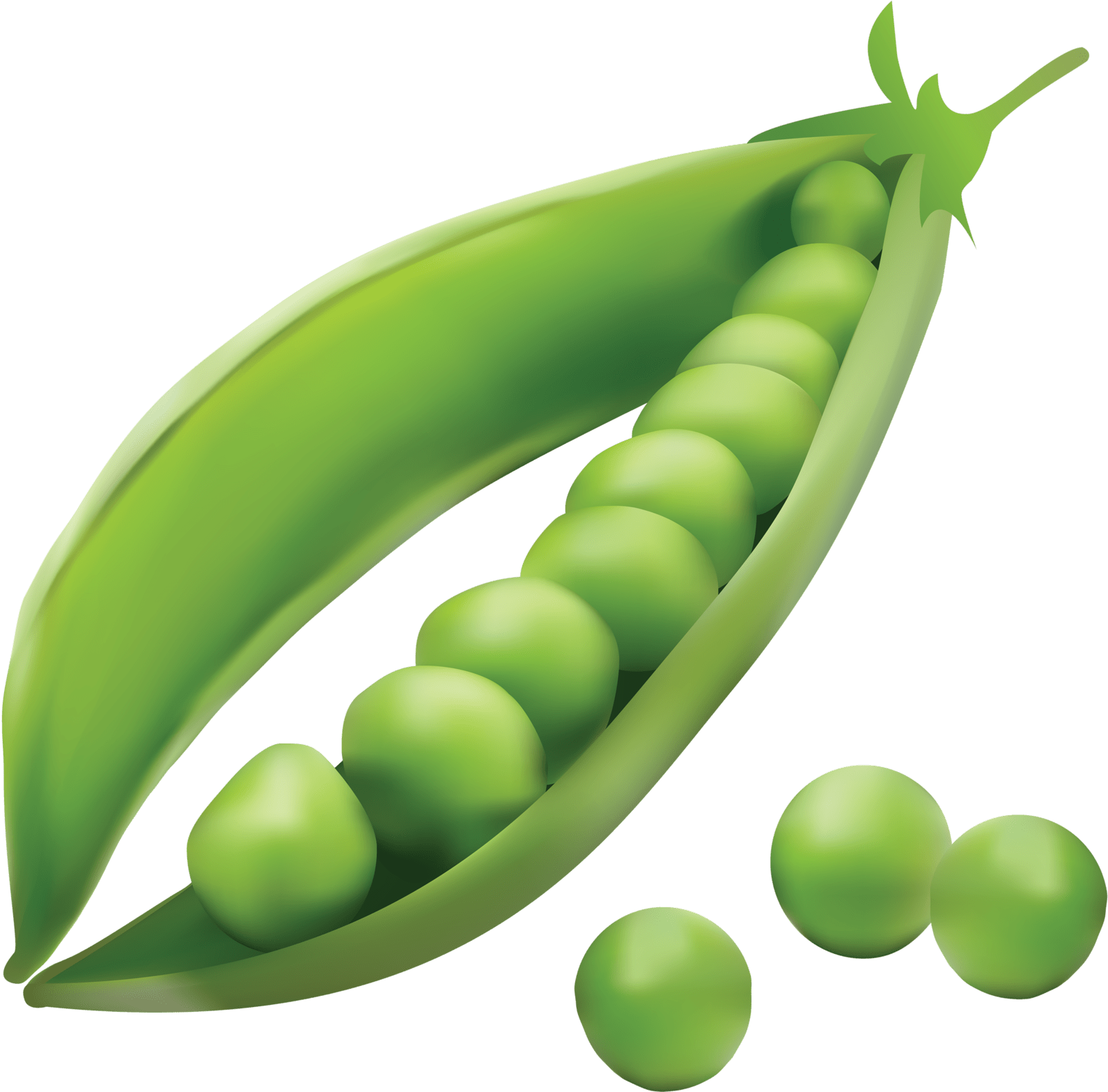 Pea Png (1600x1566)