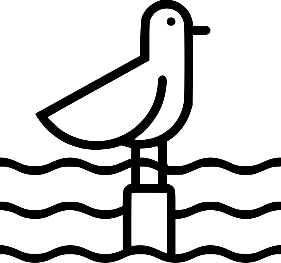 Seagull Comments - Seagull Comments (981x919)