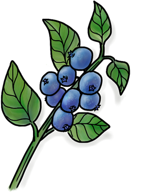 Olive This - Olive This (452x452)
