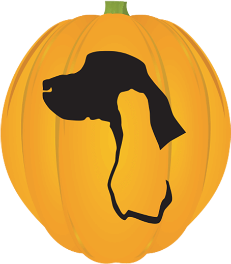 Sporting Breed Pumpkin - Jack-o'-lantern (500x566)