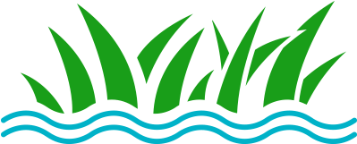 Beach Kuvi - Beach Kuvi (398x330)
