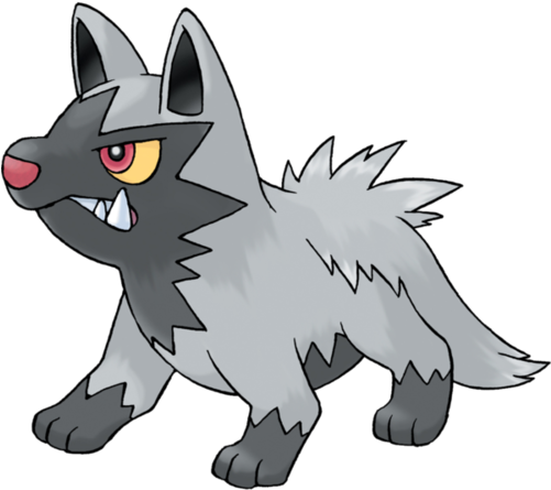 Image - Poochyena Pokemon (500x500)