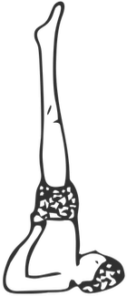 Level - Illustration (350x350)
