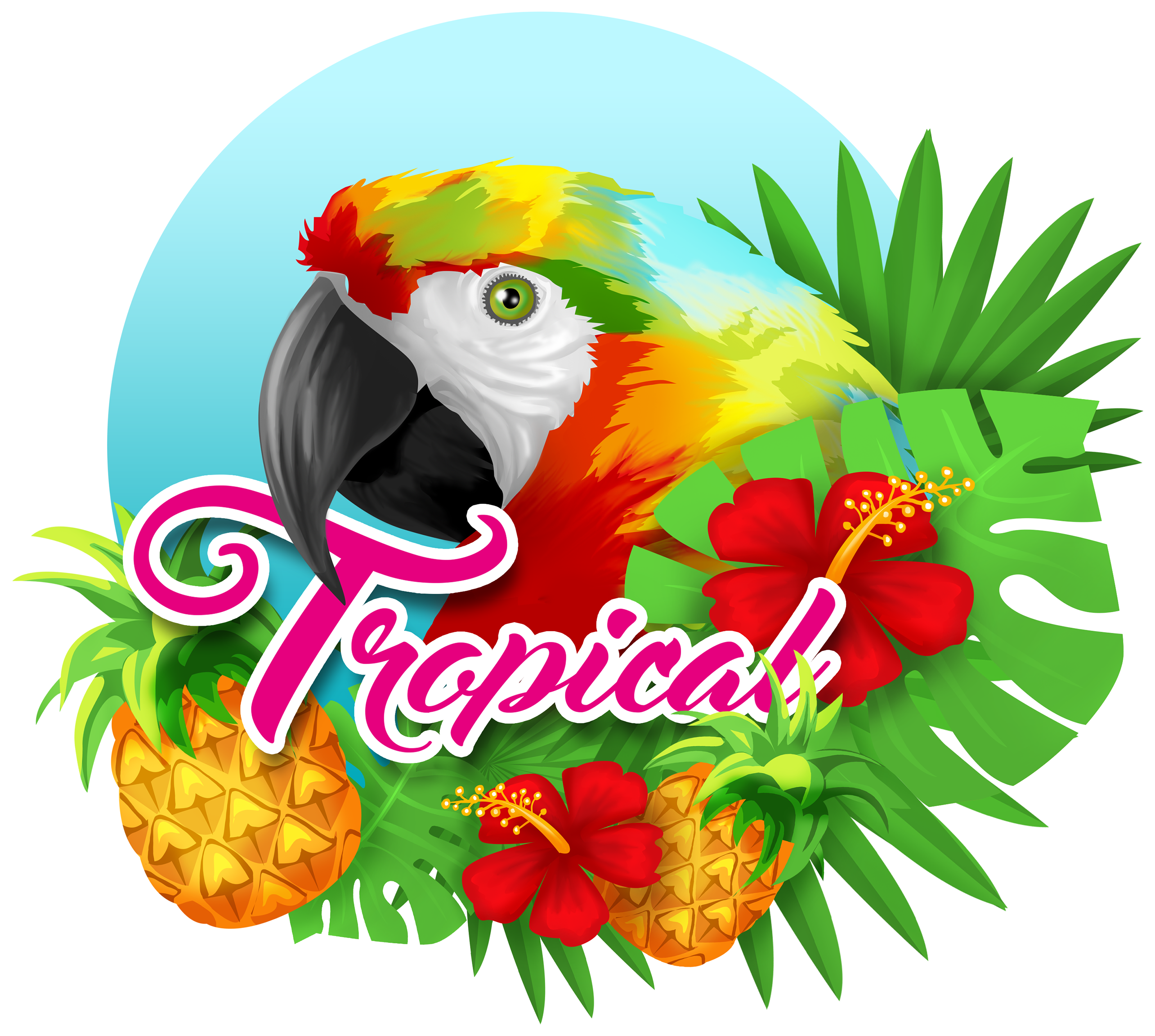 Tropical - Macaw (3840x2504)