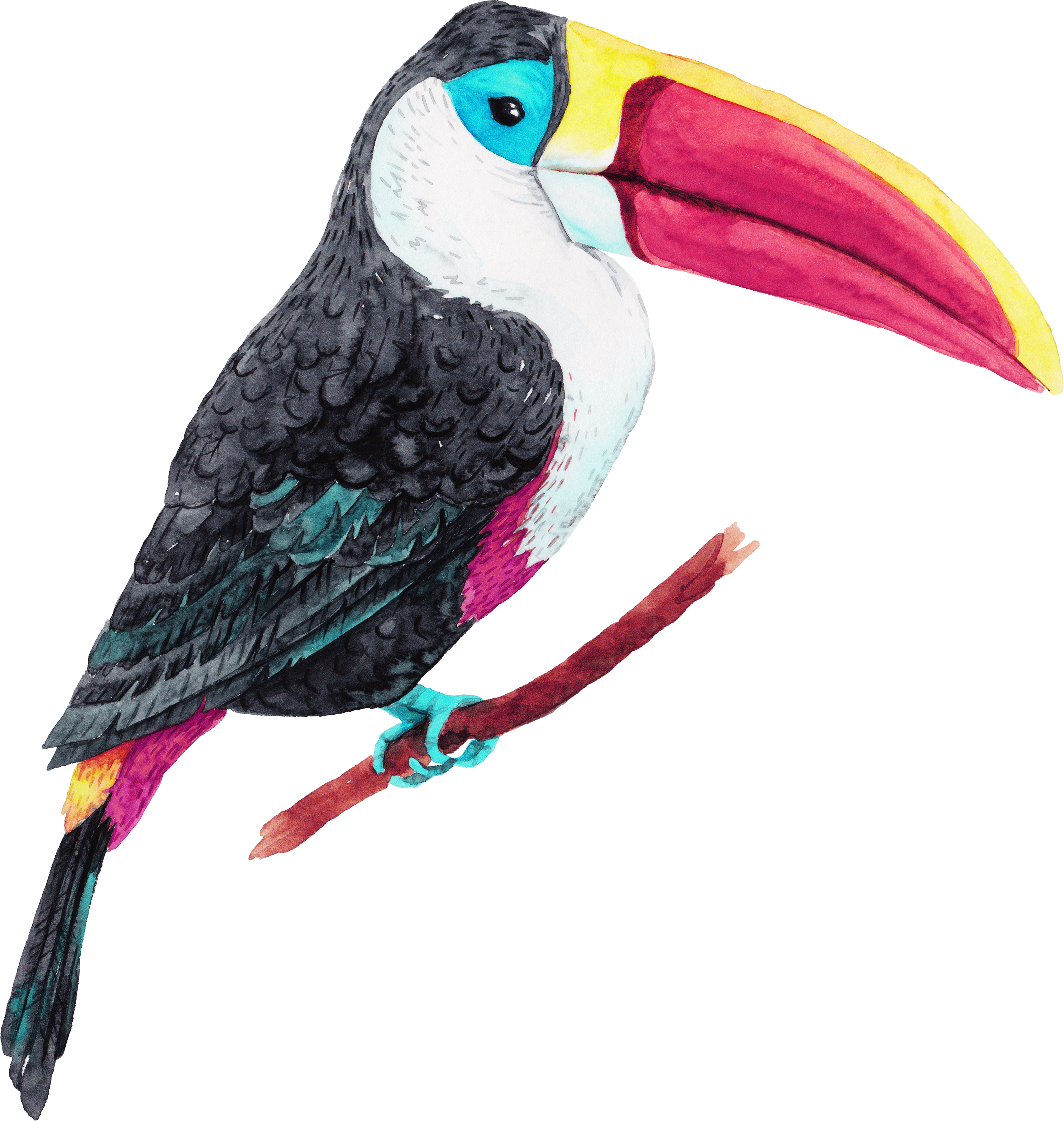 3000 X 3161 5 - Bird (3000x3161)