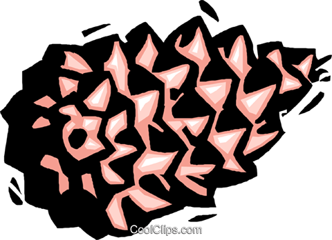 Pine Cone - Pine Cone (480x348)