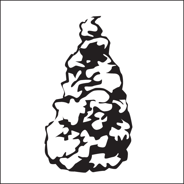 Plant Form - Illustration (591x591)
