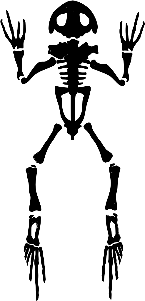 Info - Illustration (512x1024)