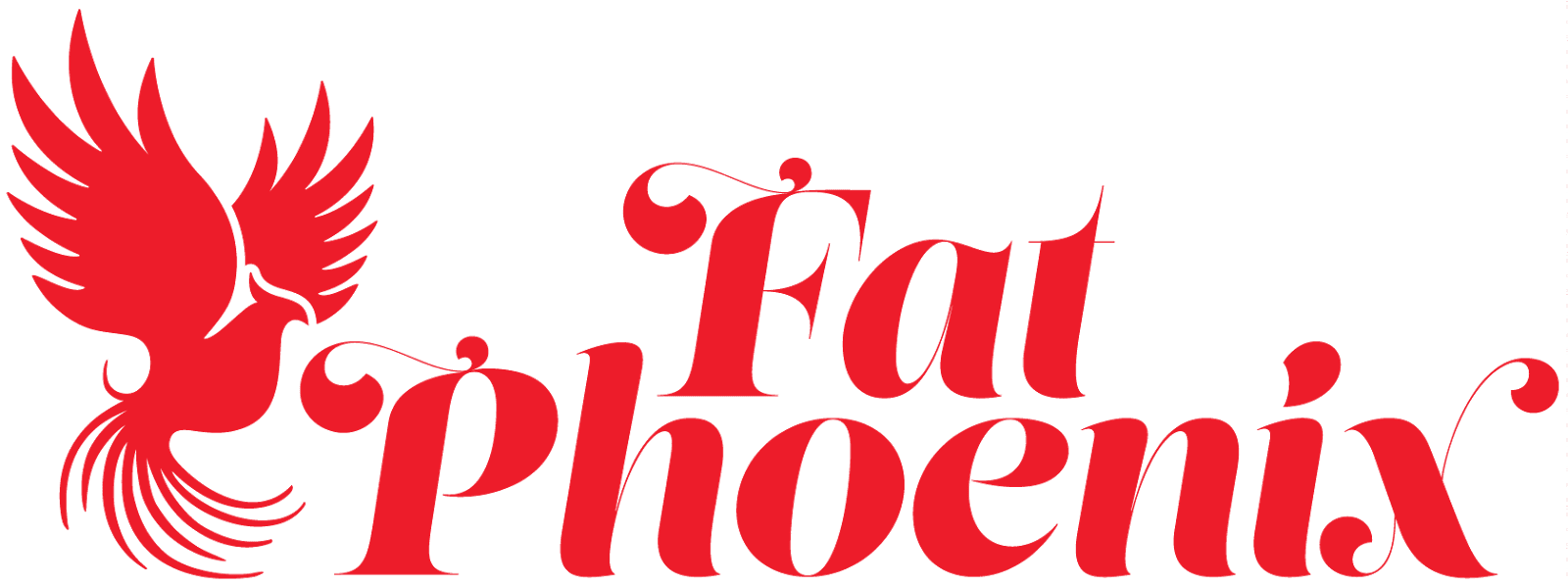 Fat Phoenix - Illustration (1600x598)